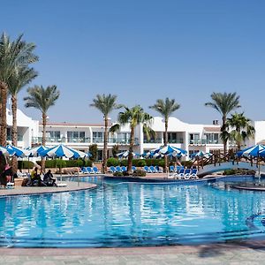 Panorama Naama Heights